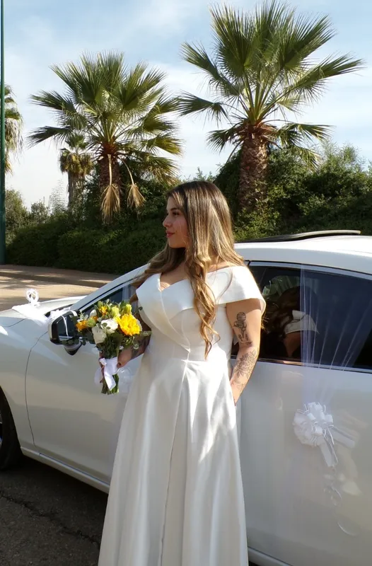 לונאריס Lunaris