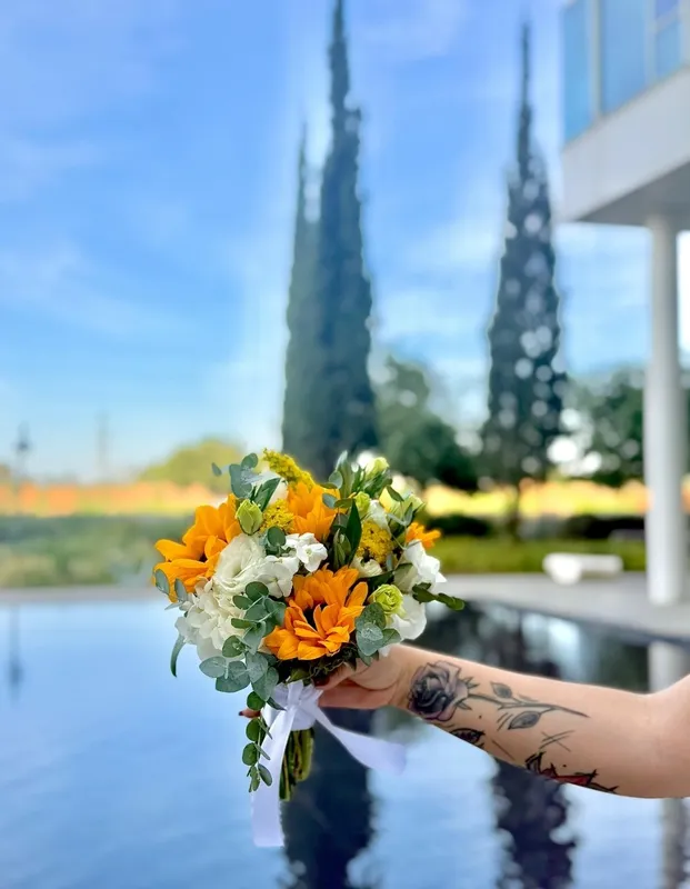 לונאריס Lunaris