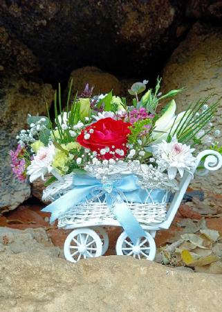 עגלת פרחים לבן