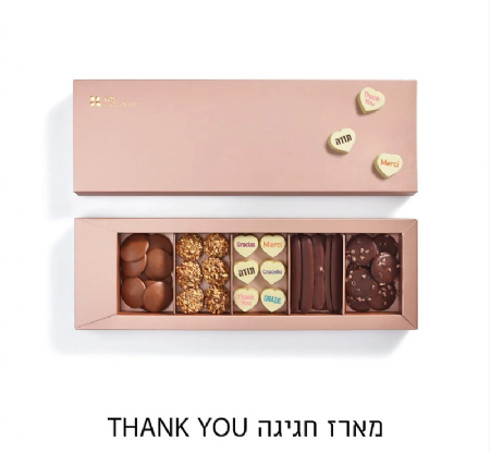 רוי שוקולד