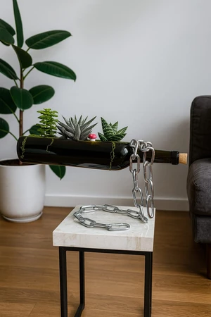 בקבוק סוקולנטים